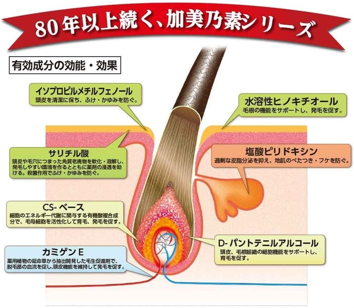 くすりの加美乃素オンラインショップ 商品詳細