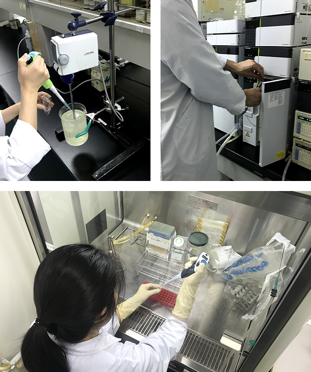 ■社内開発の様子(SP)