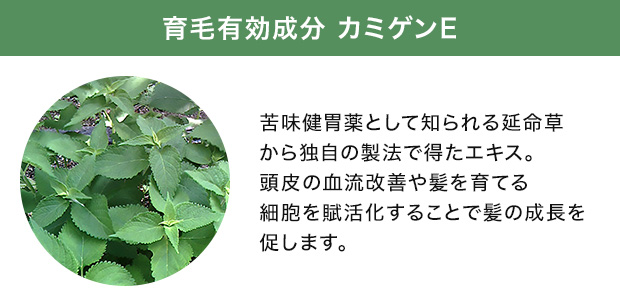 カミゲンE