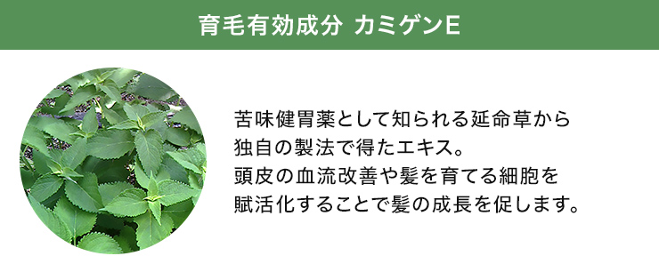 カミゲンE