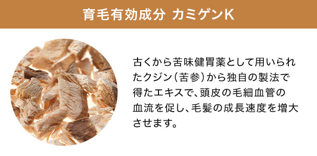 カミゲンK