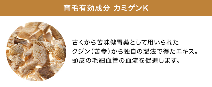 カミゲンK