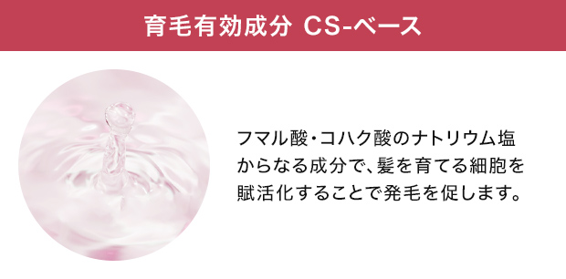 CS-ベース