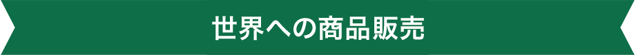 世界への販売実績