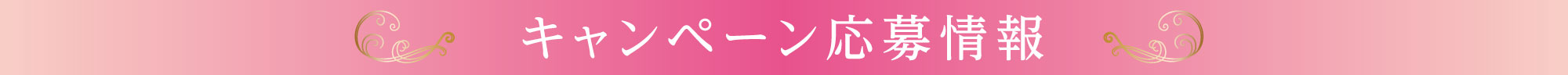 加美乃素 貸切公演とは