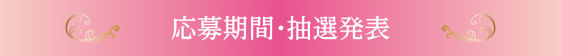 加美乃素 貸切公演とは