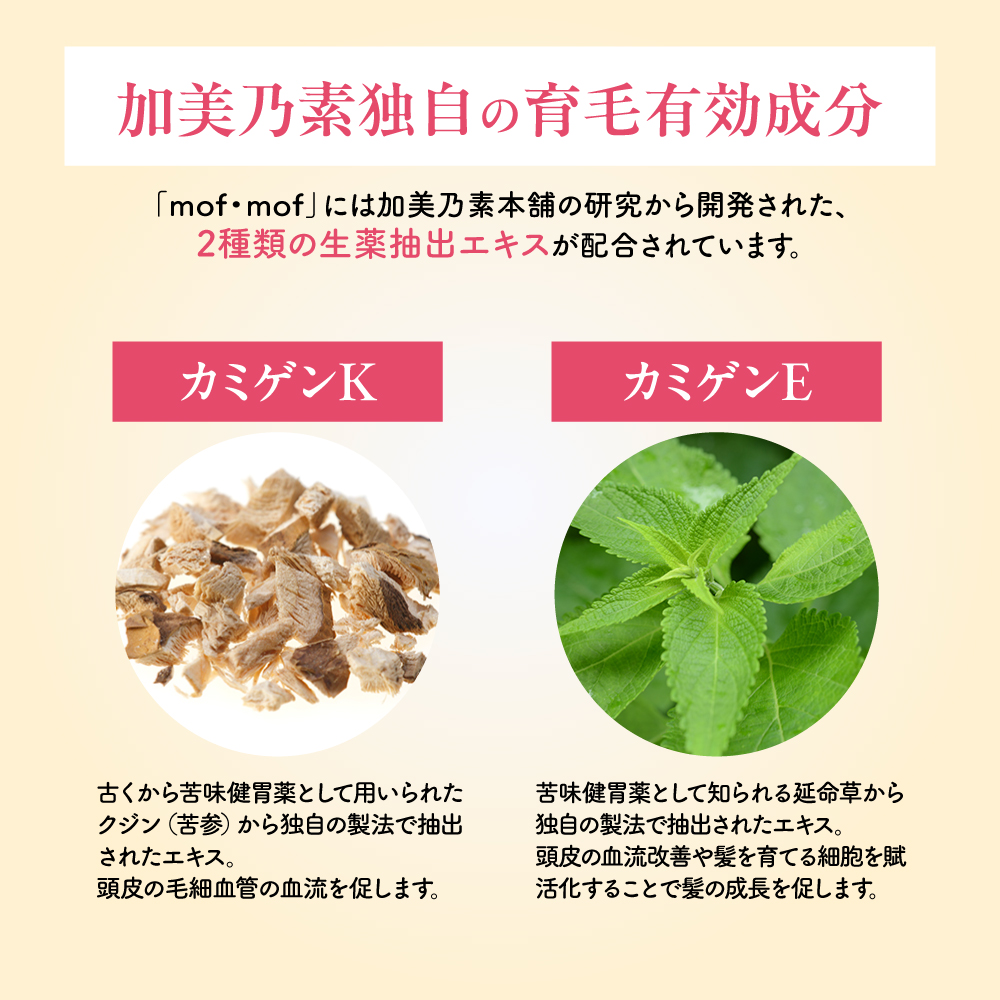 くすりの加美乃素オンラインショップ ページタイトル