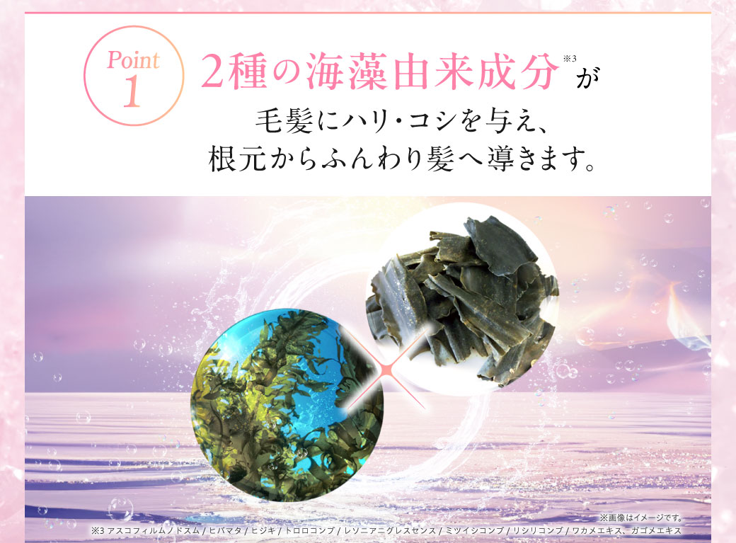 くすりの加美乃素オンラインショップ mof・mof シリーズに